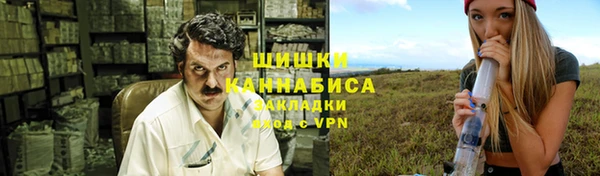 гидра Инсар