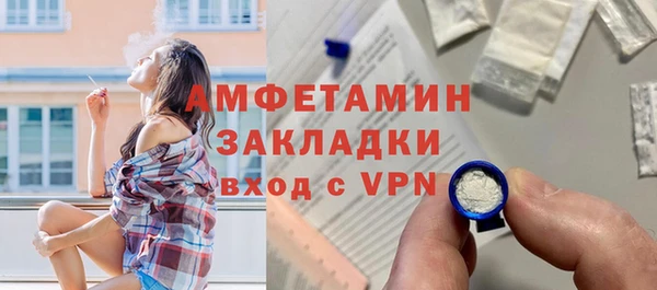 гидра Инсар