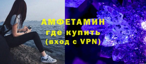гидра Инсар