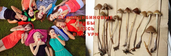 ECSTASY Иннополис