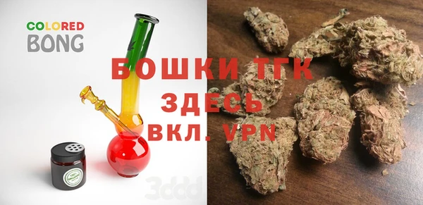 дурь Инта